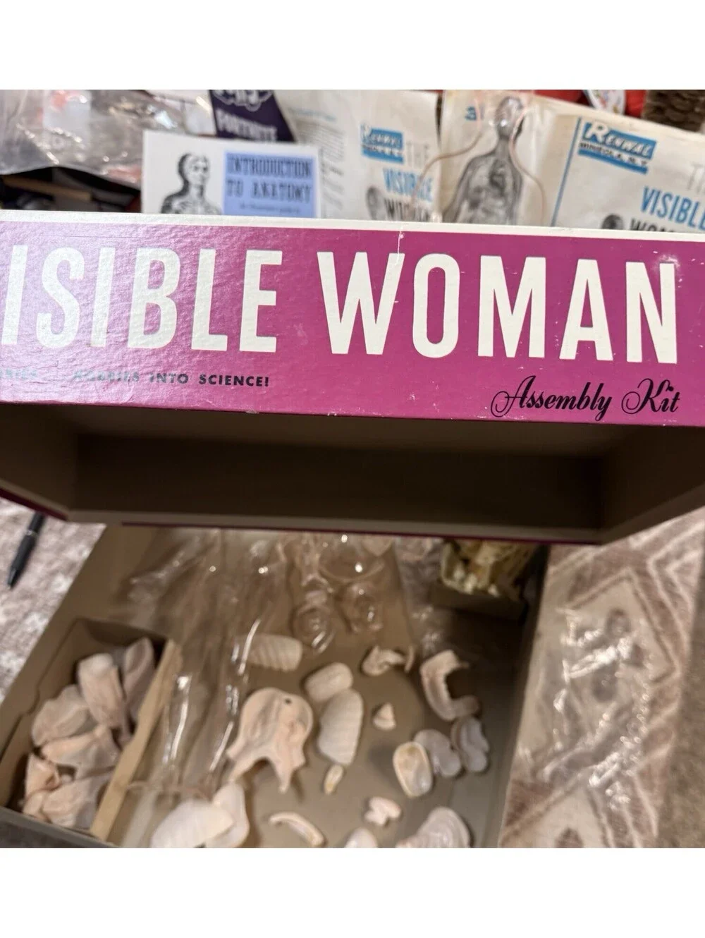 Vintage 1960 The Visible Woman Assembly Kit - #804 Made By Renwal New York USA